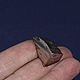 Заказать Железный метеорит Дронино 17гр. MeteoritеStyle. Ярмарка Мастеров. . Элементы интерьера Фото №3