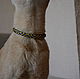 Collar "PHARAOH" for a cat or dog, Dog - Collars, Novosibirsk,  Фото №1