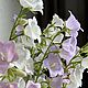 Заказать Цветы колокольчики из холодного фарфора. Annette. Ярмарка Мастеров. . Цветы Фото №3