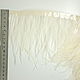 Trim of ostrich feathers 10-15 cm light yellow, braid, Moscow,  Фото №1