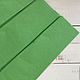 A paper tissue, 10 sheets. The color of spring grass, Wrapping paper, Kaliningrad,  Фото №1
