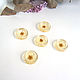 Transparent Buttons are Handmade from Resin Frozen Summer. Buttons. WonderLand. My Livemaster. Фото №14