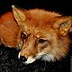 Yarn down 'Fox moth' 205m100gramm of Fox fluff. Yarn. Livedogsnitka (MasterPr). Online shopping on My Livemaster.  Фото №2