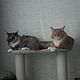 Rascador estable con cama para gato grande. Pedir. Scratching Post. Workshop for dogs and cats. My Livemaster. Фото №4