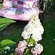 Одеяло-плед Утренний сад. Одеяла. Ирина (coziness-place). Ярмарка Мастеров.  Фото №4