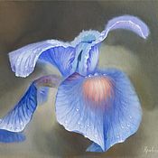 Картины и панно handmade. Livemaster - original item Oil painting on canvas "Iris flower after rain №3". Handmade.