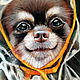 Картина с собакой чихуахуа "На прогулке" Собака чихуахуа. Картины. Чудо-картины Марины Большаковой. Ярмарка Мастеров.  Фото №4