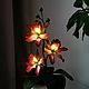 Luz de noche de orquídeas ' Meili', Nightlights, Surgut,  Фото №1