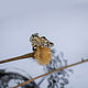 Golden ring-twig ' Juno'. Rings. Unusual Gemstone Jewelry. My Livemaster. Фото №6