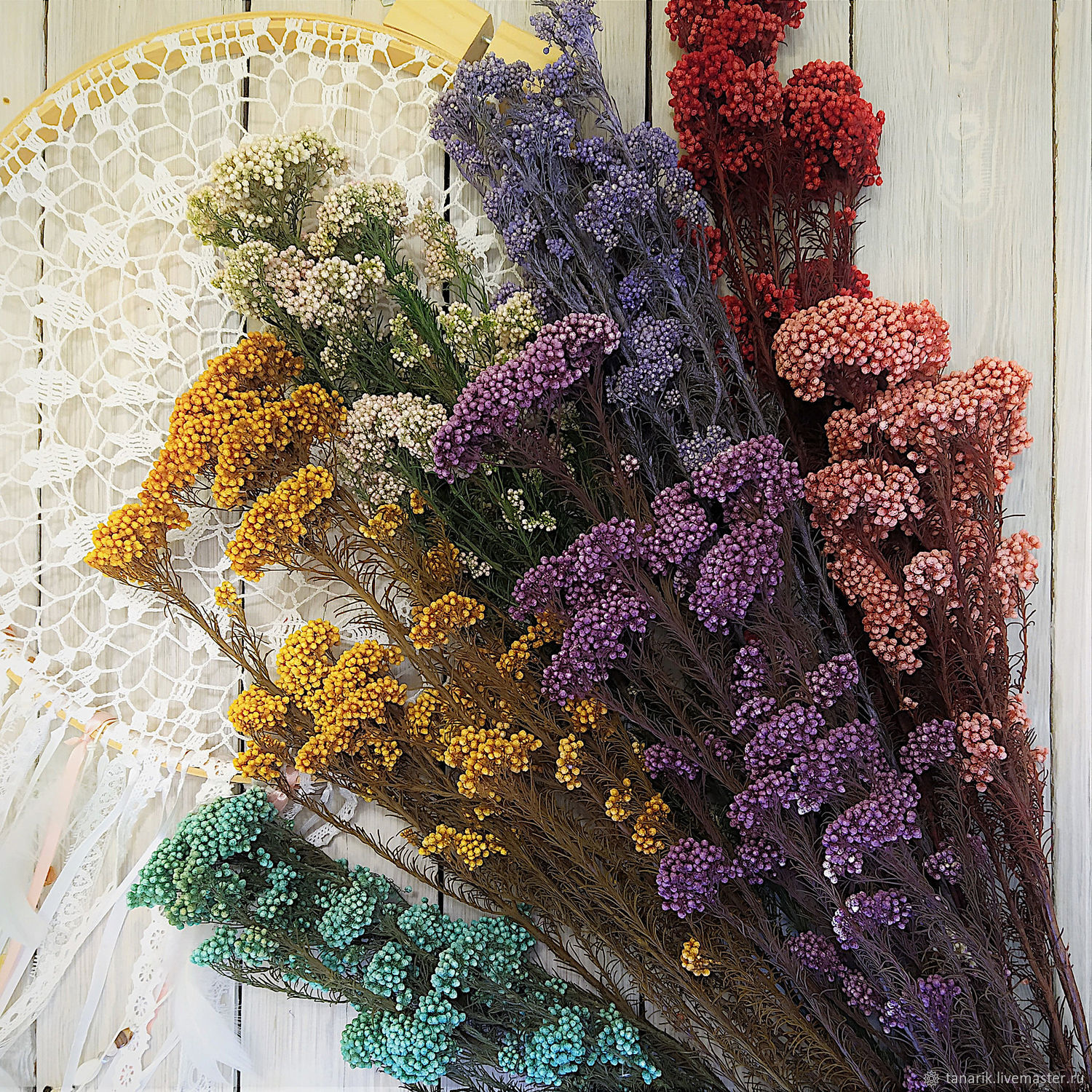 Сухоцветы злаковые фото