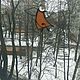 Витражная подвеска "Ангел". Подарки на 8 марта. Подарки из стекла,Тиффани. Ярмарка Мастеров.  Фото №6