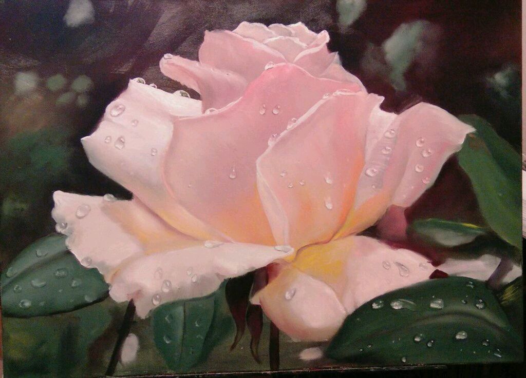 Розочка маслом. Розы маслом Джон Маккарти. Розы в живописи маслом. Розы маслом на холсте. Картина "розы".