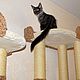  Большой высокий домик для кошек  (подходит крупным кошкам). Когтеточки. Мебель для животных Усатые Хвостатые. Ярмарка Мастеров.  Фото №5