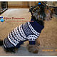 Boy's sweater with print, Pet clothes, Moscow,  Фото №1