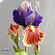 Order Iris polymer clay. Marina Zhadan. Livemaster. . Flowers Фото №3