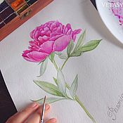 Картины и панно handmade. Livemaster - original item Flower pink peony watercolor. Handmade.