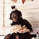 Тедди обезьянка  Рита, Тедди Зверята, Нижний Новгород,  Фото №1