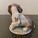 Винтаж: LLADRO 7672 фарфоровая статуэтка Собачка с цветами. Статуэтки винтажные. Коллекция Frau Burd. Ярмарка Мастеров.  Фото №4