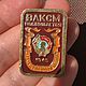 Заказать Винтаж: Набор знаков «ВЛКСМ посвящается». СКАРАБЕИ Времени (Scarabs' time). Ярмарка Мастеров. . Значки винтажные Фото №3