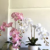 Сакура Цветущая  Искусственное дерево цветок домой