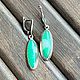 Серьги в мельхиоре с Хризопразом. Серьги классические. Jeweller -Danil. Ярмарка Мастеров.  Фото №6