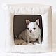 El cubo, Accessories for Pets, Moscow,  Фото №1