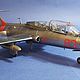 Модель самолета Л-29 «Дельфин» 1/48, Модели, Краснодар,  Фото №1