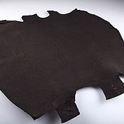 Материалы для творчества handmade. Livemaster - original item Lizard skin, abdominal part of the skin, width 39-41cm IMR2005B. Handmade.