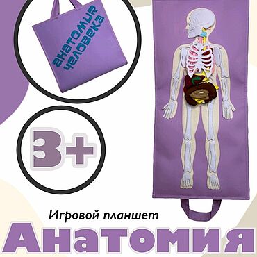 Куклы и игрушки ручной работы. Ярмарка Мастеров - ручная работа Планшет "Анатомия человека". Handmade.