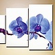 Triptych ' Orchids ', Pictures, St. Petersburg,  Фото №1