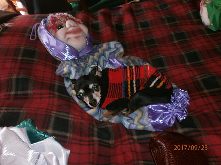 Мой профиль