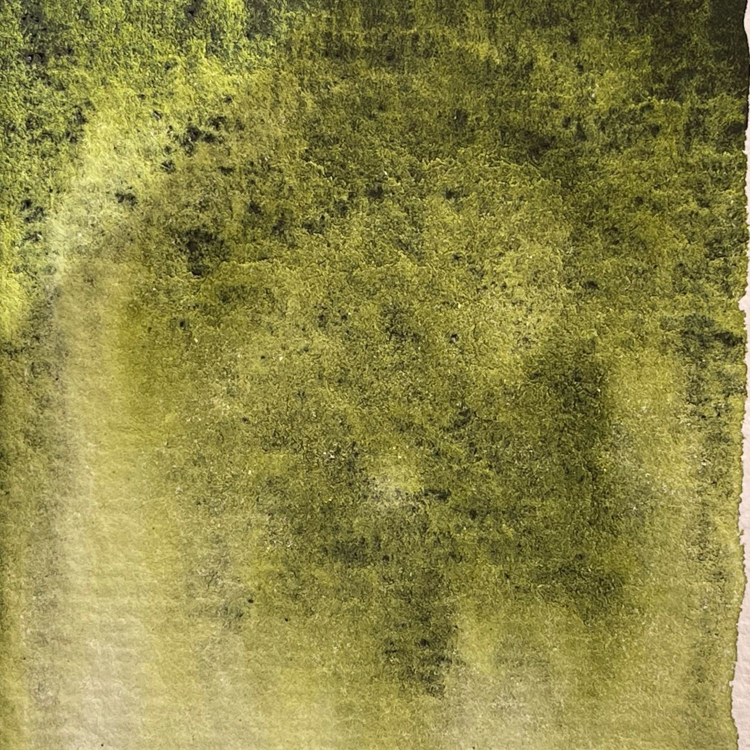 Краска болото. Замшелое болото. Watercolor болотный зеленый. Картина балтистое краска. Болото акварелью.