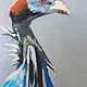Loggerhead fowl. Pictures. annaabidina. Online shopping on My Livemaster.  Фото №2