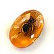 Magnet Bee in resin real bee resin under amber souvenir, Magnets, Kaliningrad,  Фото №1