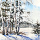 Watercolor painting ' Birches ' winter landscape, Pictures, Moscow,  Фото №1