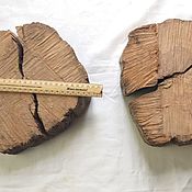 Материалы для столярного дела:комплект малых спилов дерева