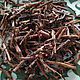 Rosehip root rosehip tea from the root rosehip roots. Grass. Dary Prirody. Online shopping on My Livemaster.  Фото №2