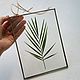 The herbarium homearea in glass, Composition, Zelenograd,  Фото №1