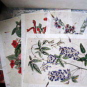 "Panteek-цветы" 1 - принт на бумаге  ручной работы