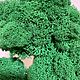 Дерево топиарий из натурального мха ягеля "Дуб". Топиарии. BOZZ MOSS. Ярмарка Мастеров.  Фото №4