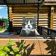 Фигурка садовая из металла "Котик", 17*20 см. Фигуры садовые. Arno Metal Decor. Интернет-магазин Ярмарка Мастеров.  Фото №2