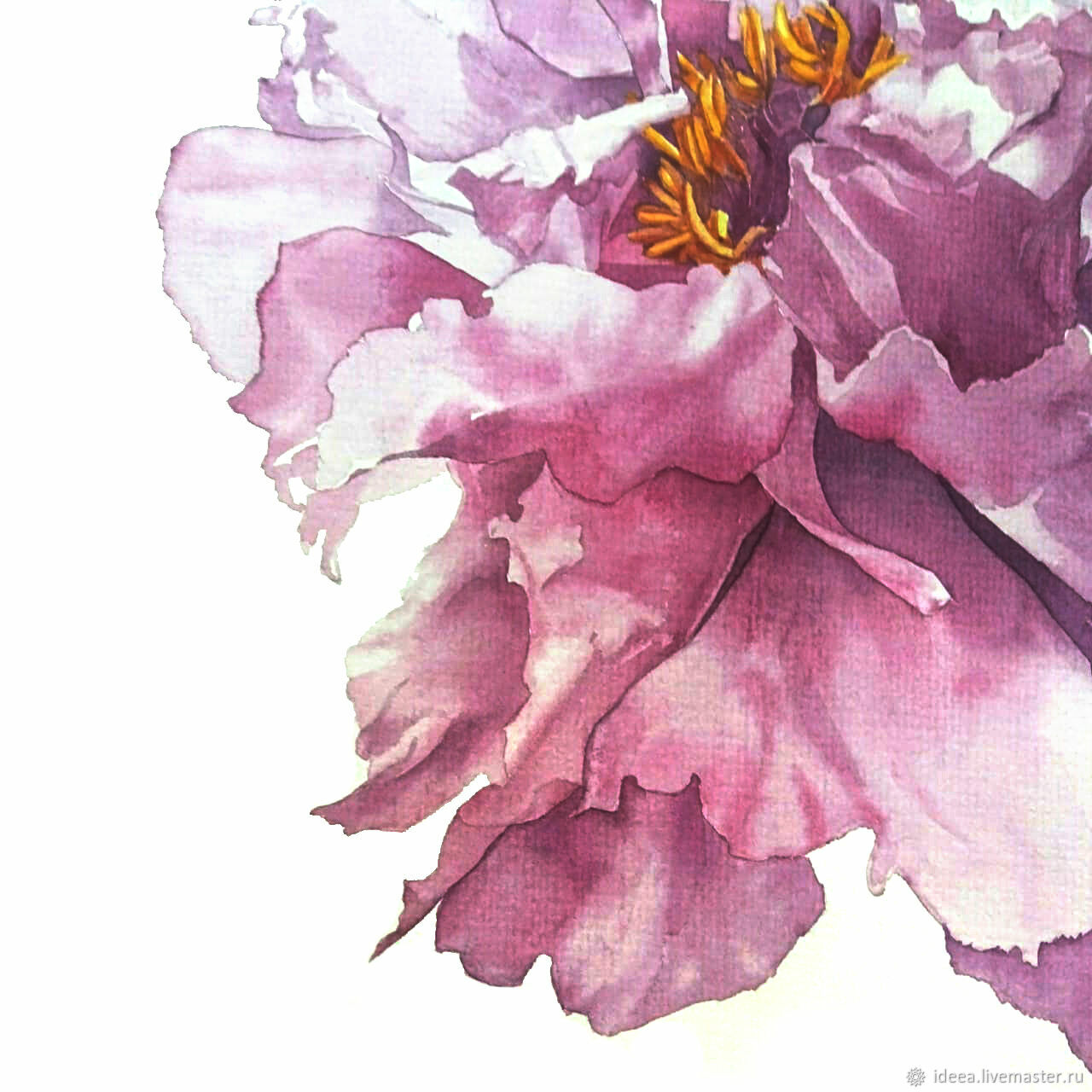 Полупрозрачный цветок акварель