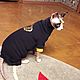 Clothing for cats 'Bib Sweatshirt Aristocrat'. Pet clothes. Happy-sphynx. Online shopping on My Livemaster.  Фото №2