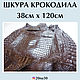 Кожа крокодила коричневая В НАЛИЧИИ, Кожа, Краснодар,  Фото №1