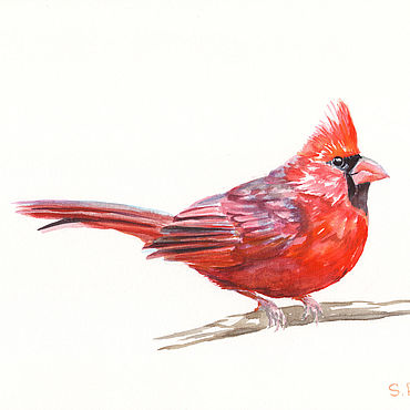 Картины и панно ручной работы. Ярмарка Мастеров - ручная работа Картина акварелью «Красный кардинал» — птица, символ любви и тепла. Handmade.