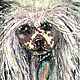 Paintings: Chinese crested dog, Pictures, Sopot,  Фото №1