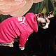 Clothing for cats 'Sweatshirt pink - PUMA', Pet clothes, Biisk,  Фото №1