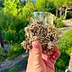A glass of whiskey 'the lion', Wine Glasses, Pavlovo,  Фото №1