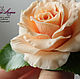 Brooch with peach rose. Brooch with tea rose
