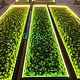 Стена из мха с подсветкой | панно со мхом 240*60см. Фитокартины. Green.Box. Интернет-магазин Ярмарка Мастеров.  Фото №2